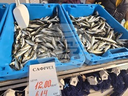 Каварна - Никулден - риба