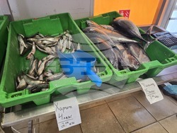 Каварна - Никулден - риба