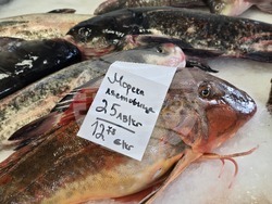 Каварна - Никулден - риба