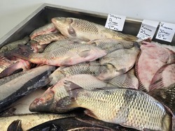 Каварна - Никулден - риба