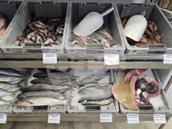 Каварна - Никулден - риба