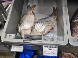 Каварна - Никулден - риба