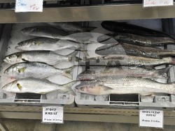 Каварна - Никулден - риба