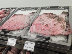 Каварна - Никулден - риба