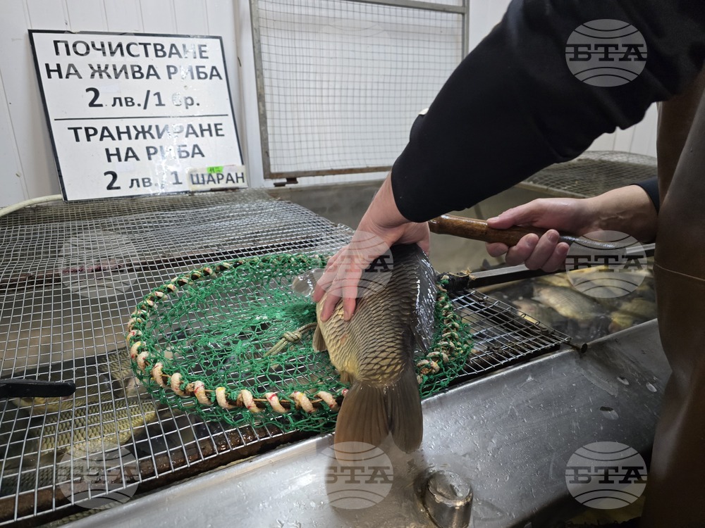 В Ловеч се търси сладководна риба, по-малко морска, а около Никулден - шаран, според търговци
