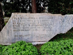 Берковица - Освобождение на града - възстановка