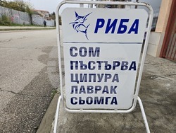 Ловеч - Никулден - риба