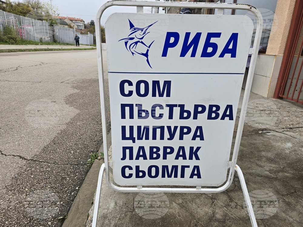 Ловеч - Никулден - риба