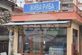 Ловеч - Никулден - риба