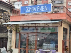 Ловеч - Никулден - риба