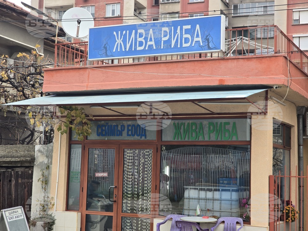 Ловеч - Никулден - риба