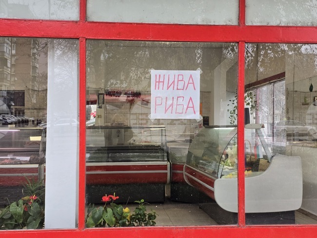 Ловеч - Никулден - риба