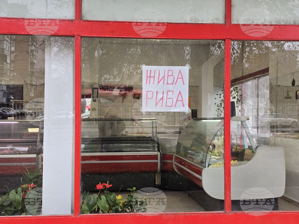 Ловеч - Никулден - риба