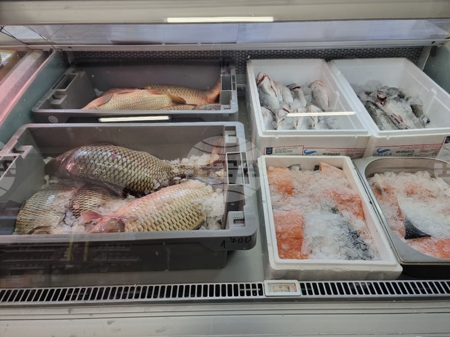 В Кюстендил шаранът се продава на цени между 7 и 12 лв. преди Никулден