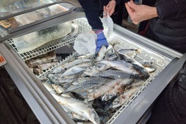 Кюстендил - риба - Никулден