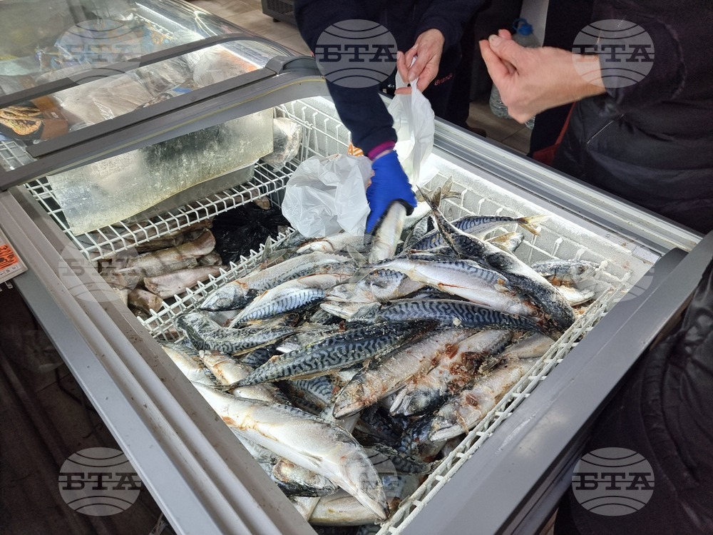 Кюстендил - риба - Никулден