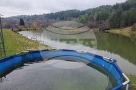 Кюстендил - риба - Никулден