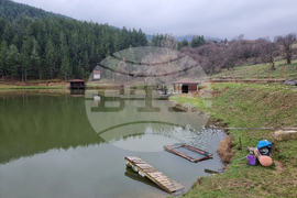 Кюстендил - риба - Никулден