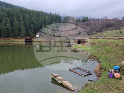 Кюстендил - риба - Никулден