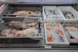 Кюстендил - риба - Никулден