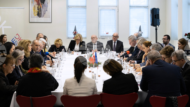 President Radev Meets with EU Ambassadors