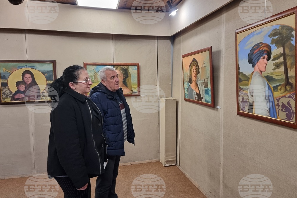 Берковица - изложба