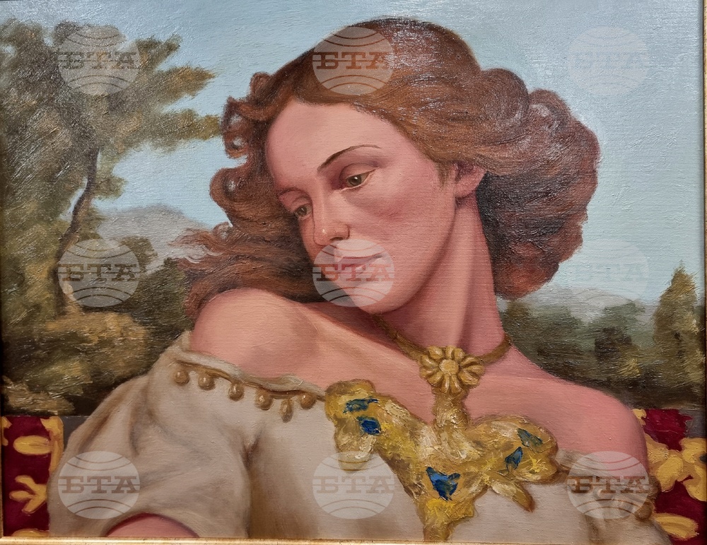 Берковица - изложба