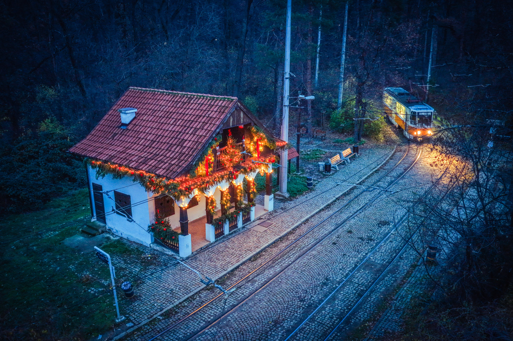 СО: Спирка „Вишнева“ вече е част от коледната магия на София