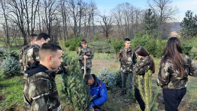 Ученици от Велики Преслав проведоха изнесен урок в разсадника край търговищкото село Баячево