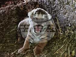 Снимка: Община Стара Загора