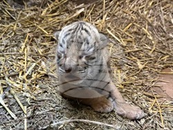 Снимка: Община Стара Загора