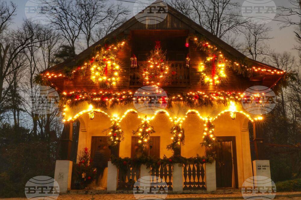 Коледна украса - спирка „Вишнева“