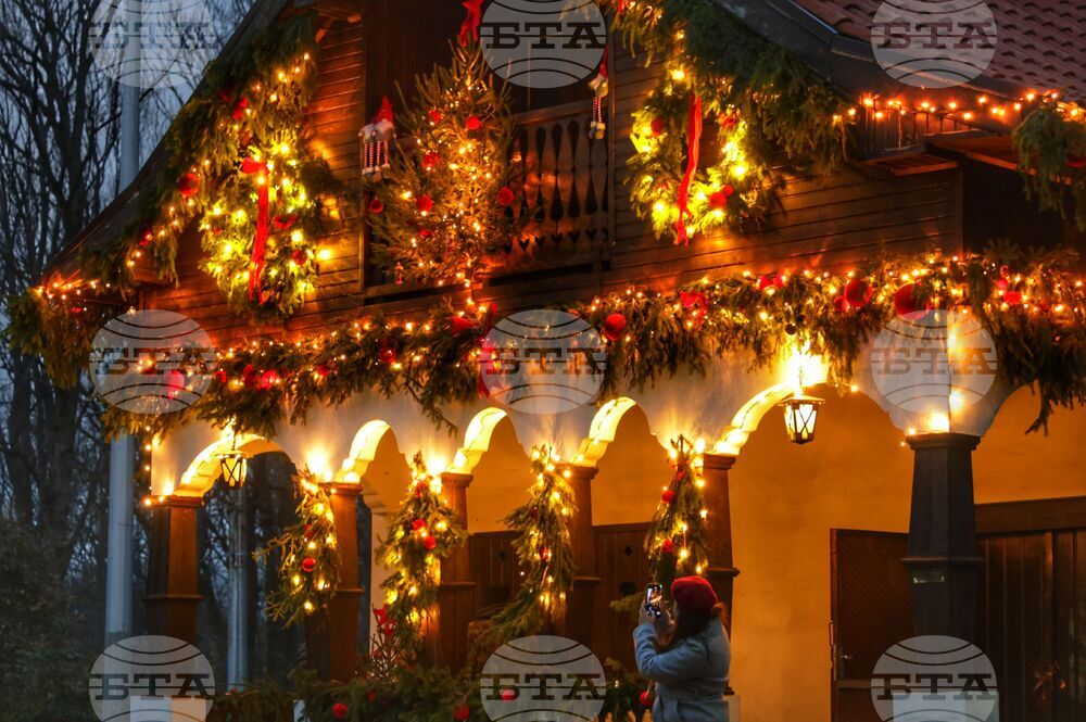 Коледна украса - спирка „Вишнева“