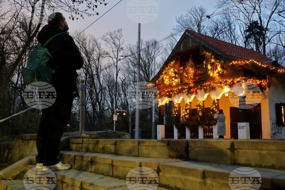 Коледна украса - спирка „Вишнева“