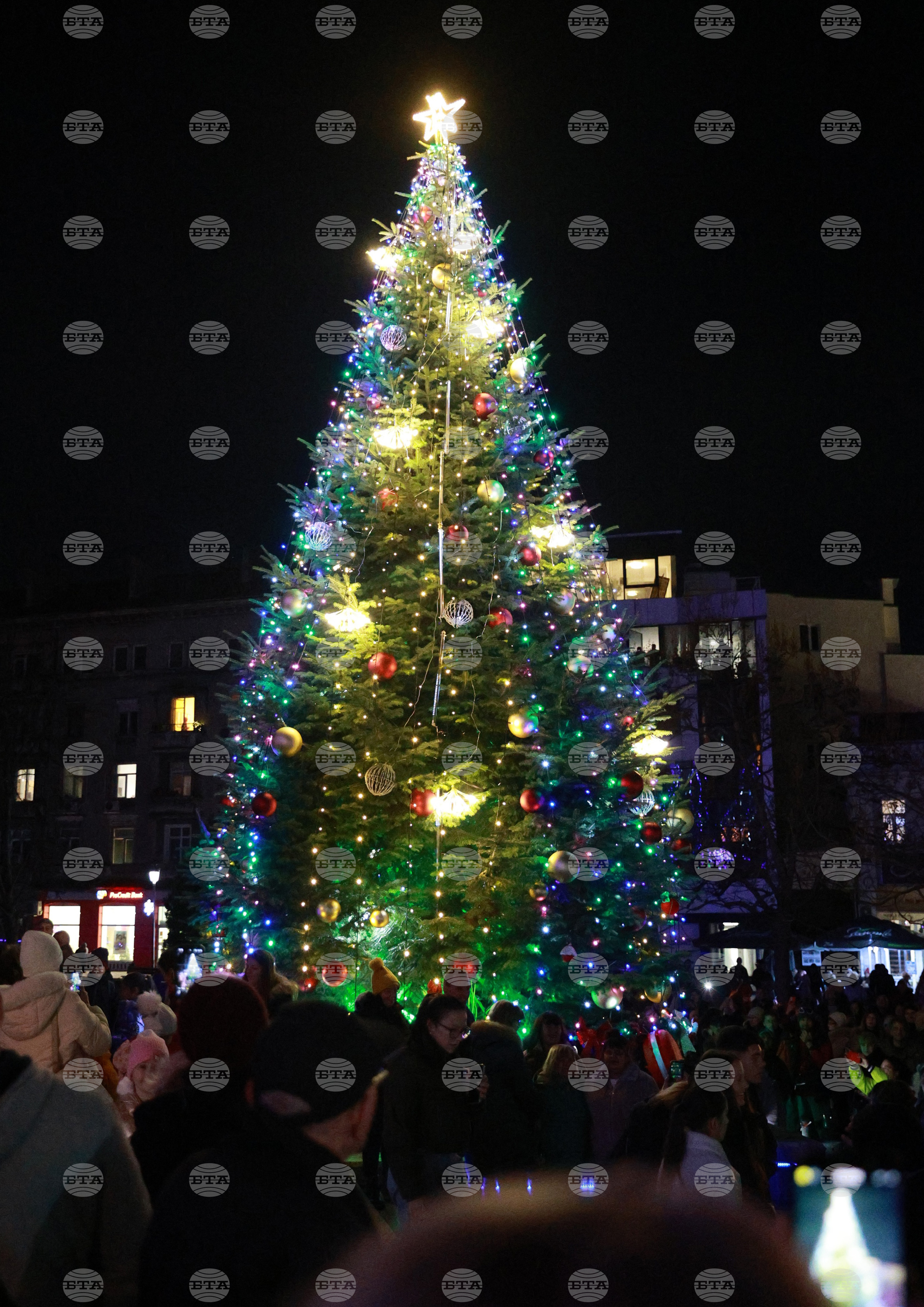 Русе - коледна елха - празнични светлини