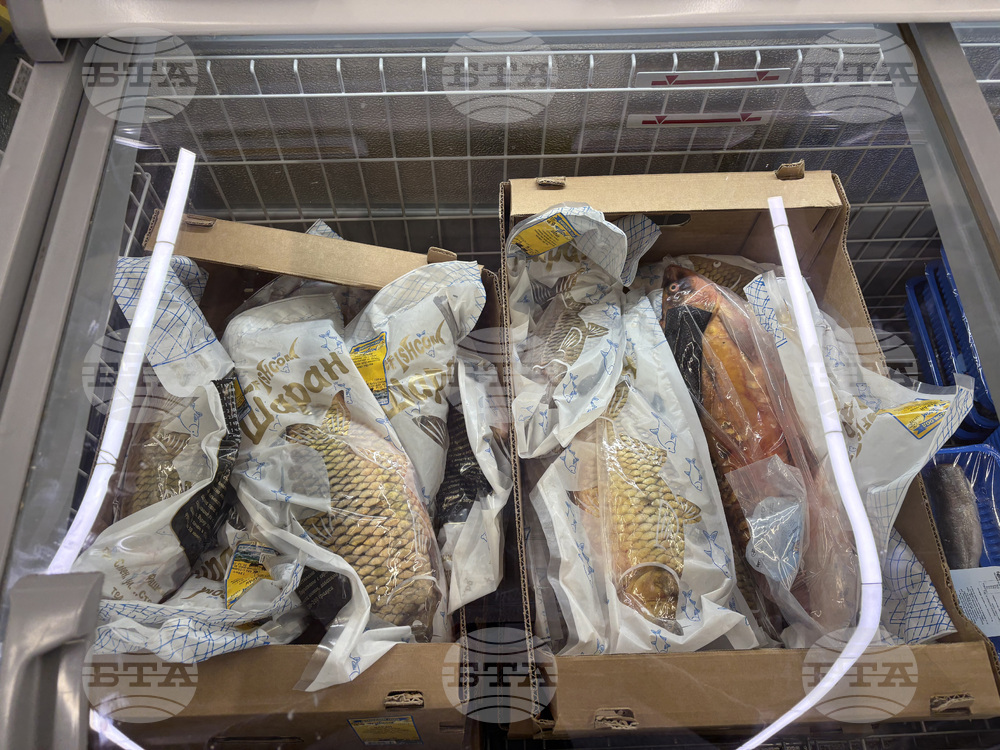 Самоков - риба - цени