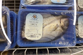 Самоков - риба - цени