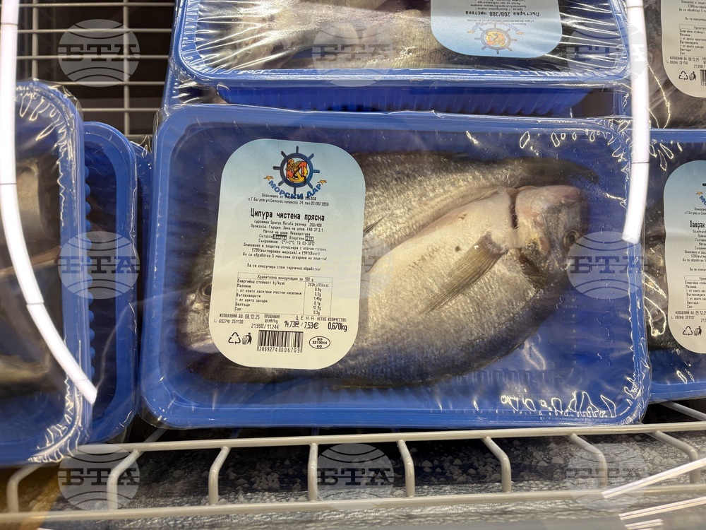 Самоков - риба - цени