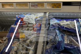 Самоков - риба - цени