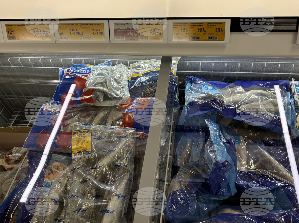 Самоков - риба - цени