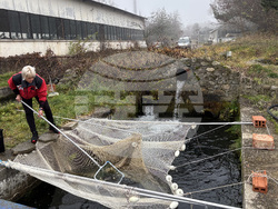 Самоков - риба - цени
