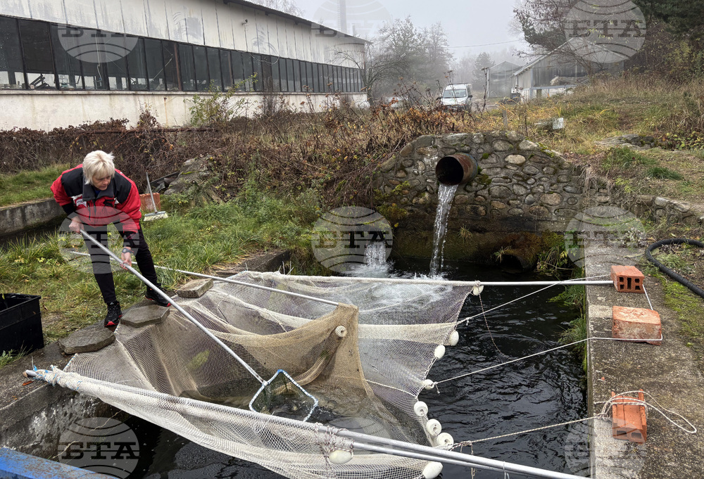 Самоков - риба - цени