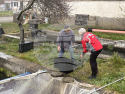 Самоков - риба - цени