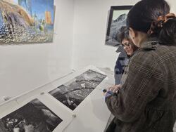 Добрич - галерия - графика