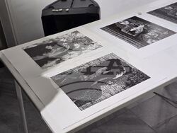 Добрич - галерия - графика