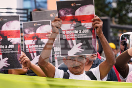 Honduras President Pardon Protest