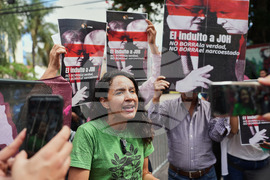 Honduras President Pardon Protest