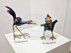 Монтана - изложба - "Четири посоки"