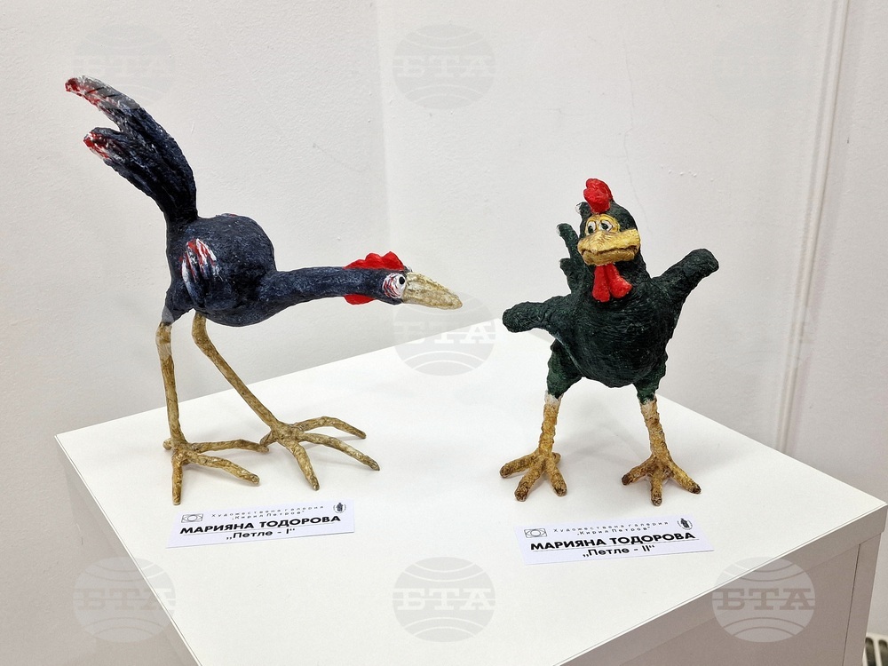 Монтана - изложба - "Четири посоки"