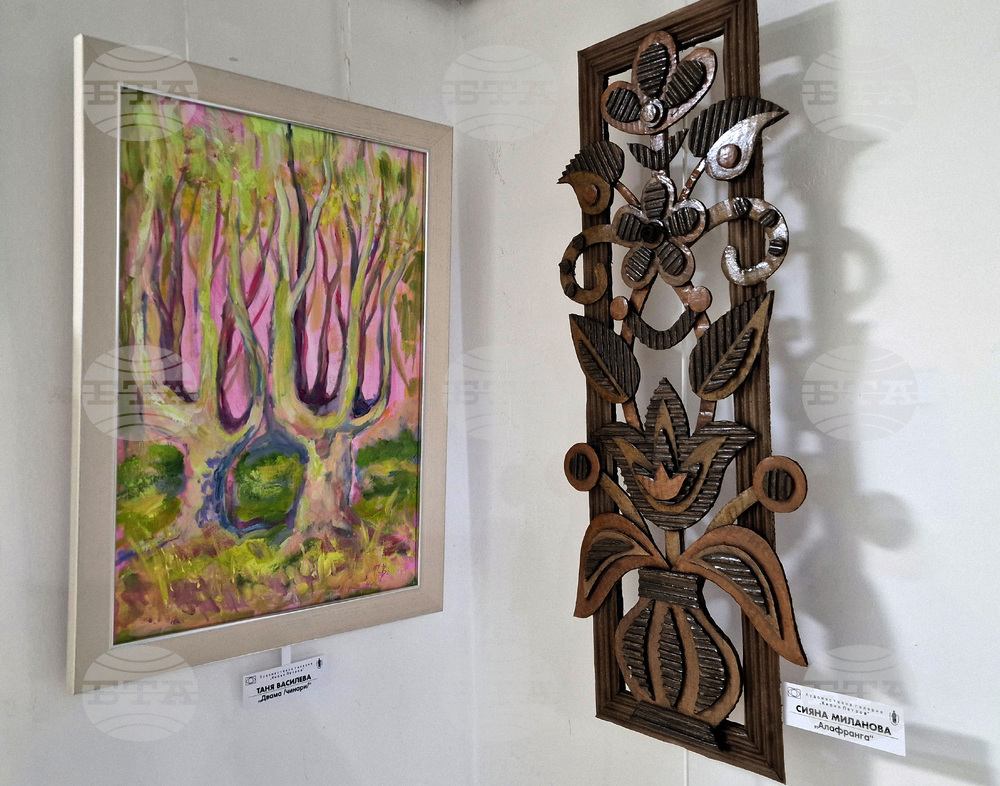 Монтана - изложба - "Четири посоки"